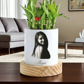 Vibrant Bamboo Plant - Personalized Gift with custom photo and name engraving on pot, perfect for indoor spaces and symbolic of good fortune.